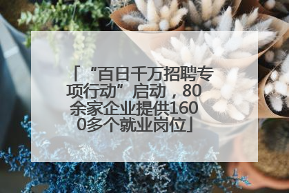 “百日千万招聘专项行动”启动，80余家企业提供1600多个就业岗位